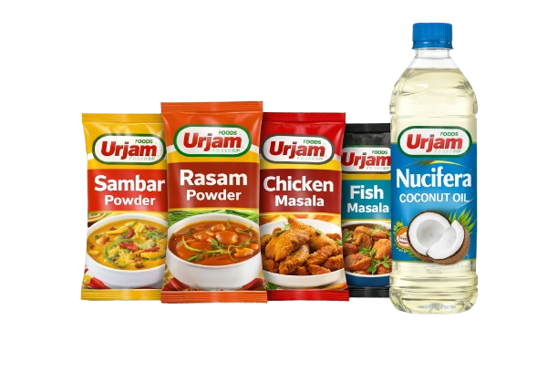 chatgpt image jan 21 2026 07 29 19 am removebg preview